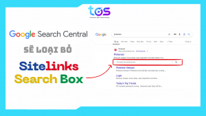 Google search loại bỏ Sitelinks Search Box